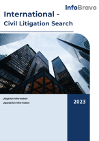 國際 - 企業民事訴訟報告